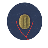 Labatt Straw Hat